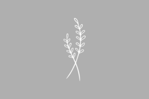 Weiße Zweige auf grauem Grund als Trauersymbol © HTW Berlin/minkadu